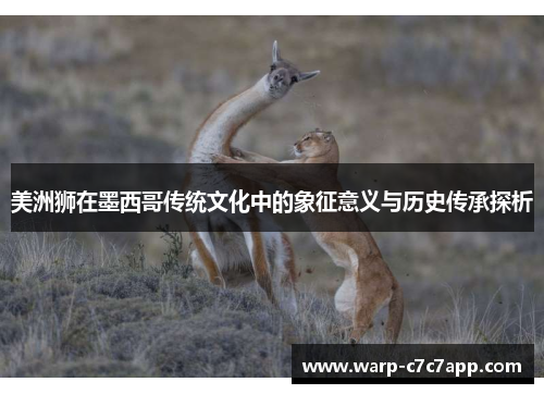 美洲狮在墨西哥传统文化中的象征意义与历史传承探析