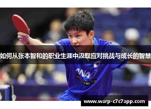 如何从张本智和的职业生涯中汲取应对挑战与成长的智慧 如何从张本智和的职业生涯中汲取应对挑战与成长的智慧