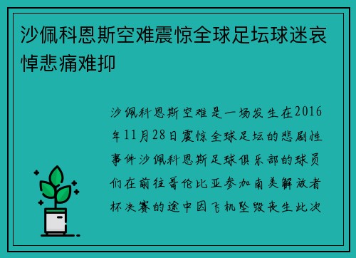 沙佩科恩斯空难震惊全球足坛球迷哀悼悲痛难抑 沙佩科恩斯空难震惊全球足坛球迷哀悼悲痛难抑